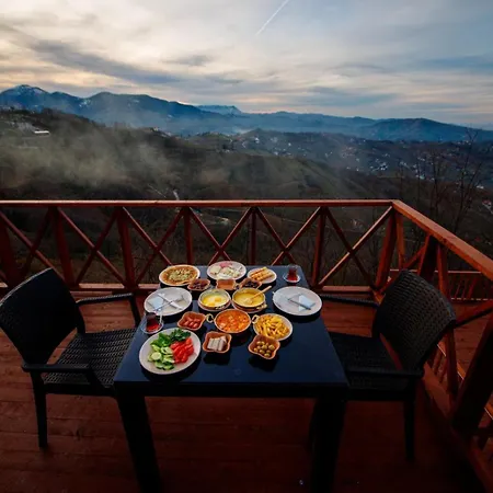 Zedome Panorama 3* Trabzon