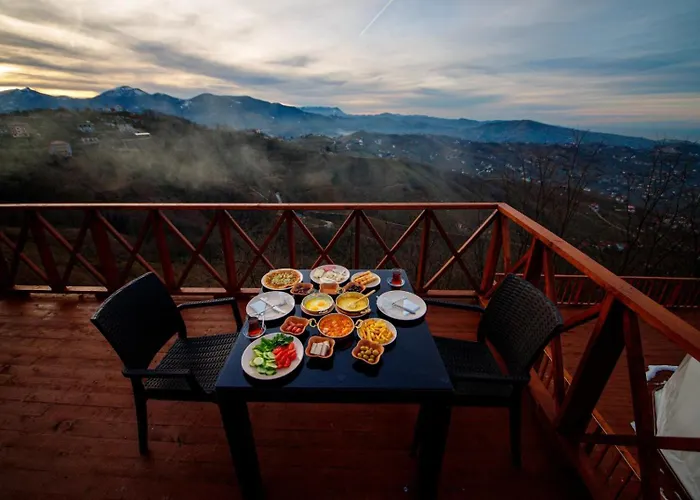 Zedome Panorama 3* Trabzon